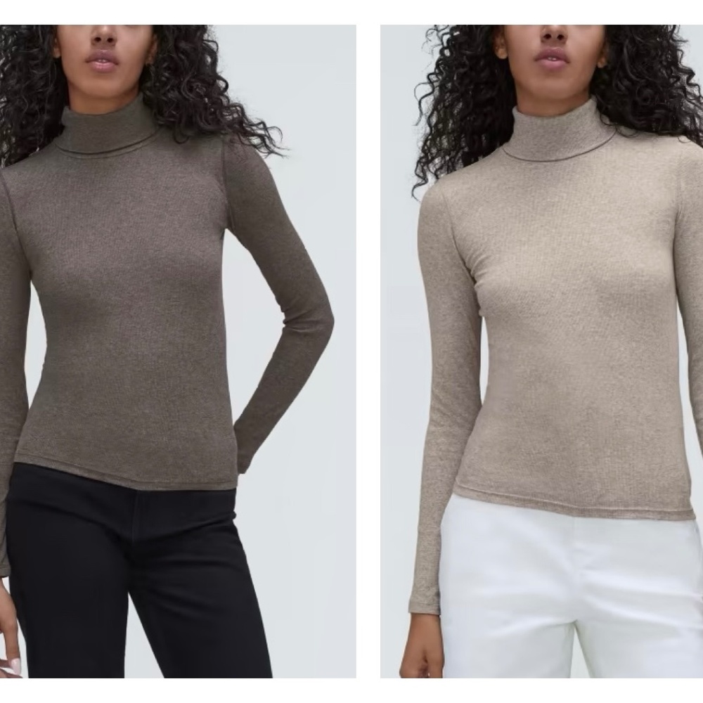 Everlane Lux Rib Turtleneck set of 2
